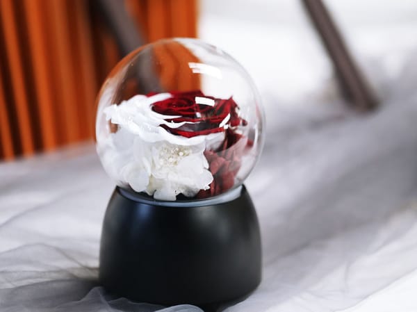 preserved flower Eight-tone bell multicolor
