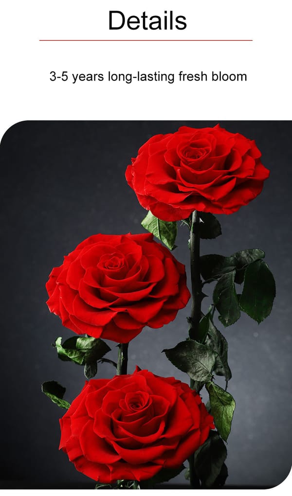 preserved flower wholesale
