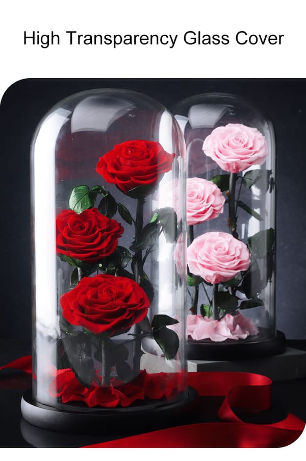 preserved rose low price