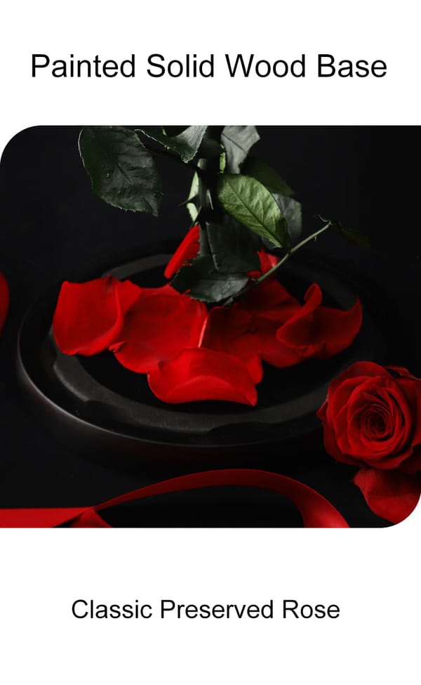 preserved rose gift costomization