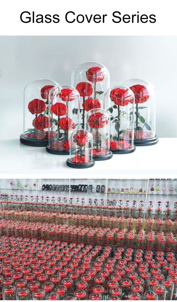 preserved rose in glass supplier