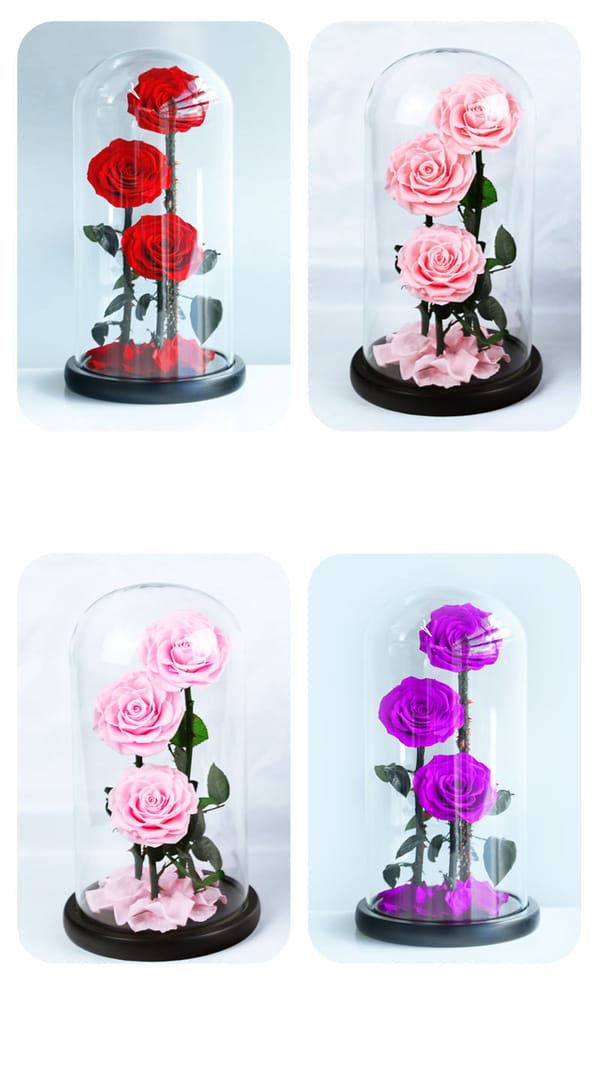 preserved rose multicolor customization