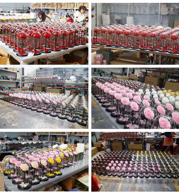 preserved rose supplier