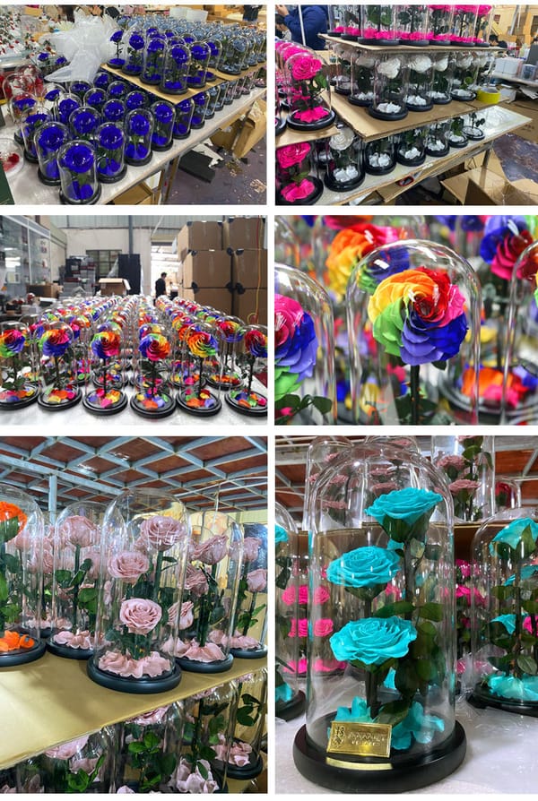 preserved rose wholesale