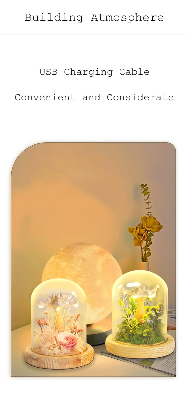 preserved flower Low MOQ