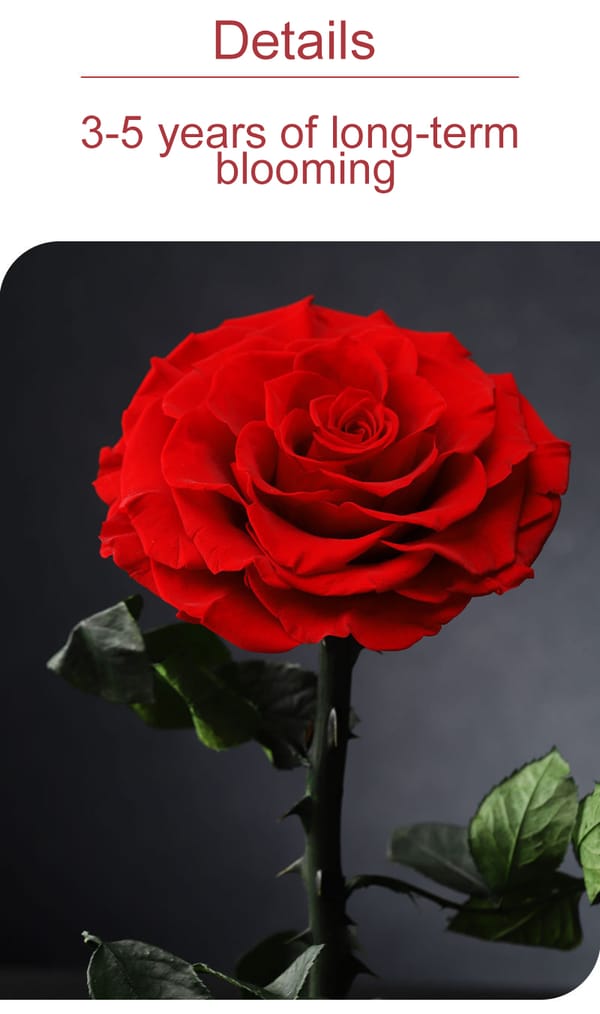 preserved flower supplier