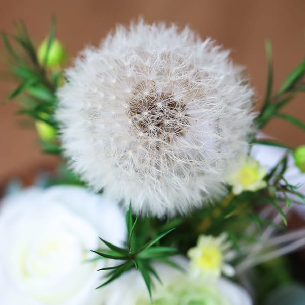 preserved flower home decor