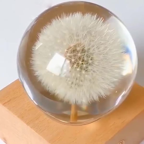 preserved flower wholesale