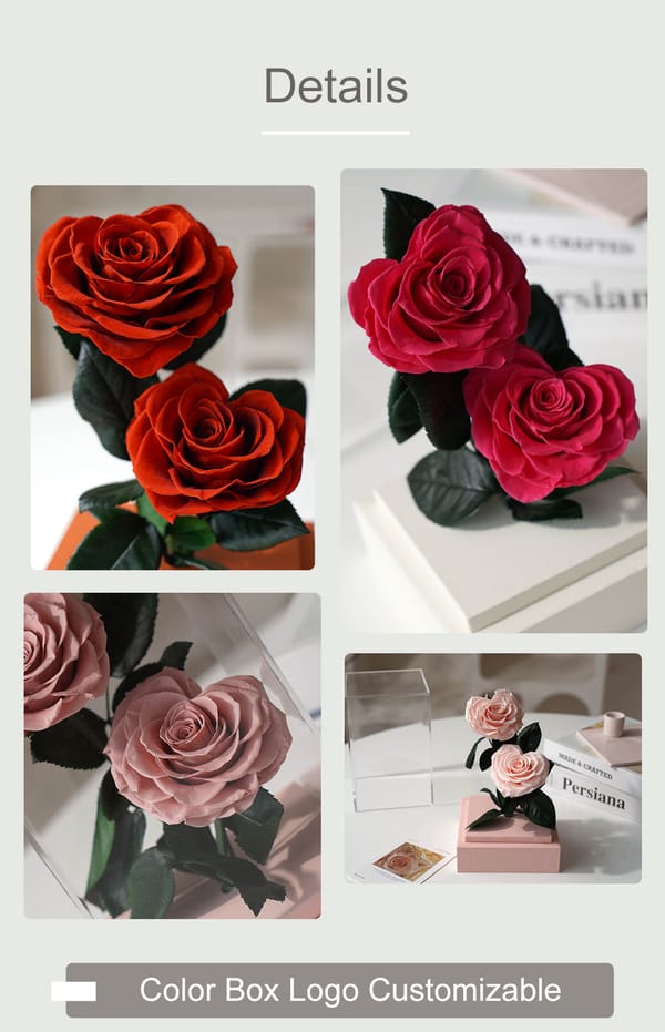 preserved flower gift wholesale