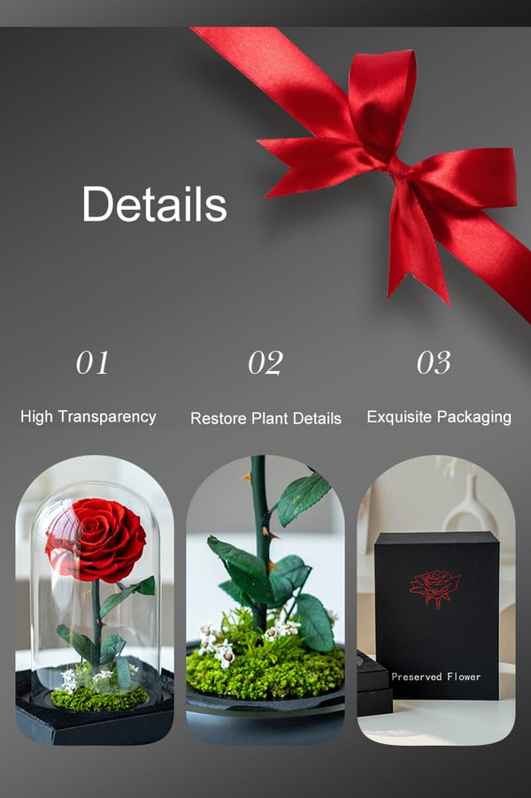 preserved rose suplier