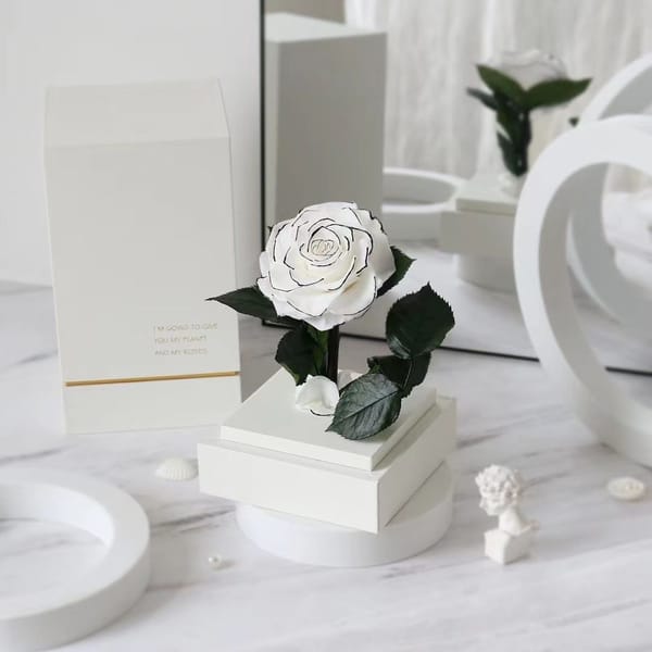 preserved rose Low MOQ require