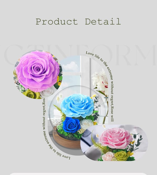preserved flower gift supplier