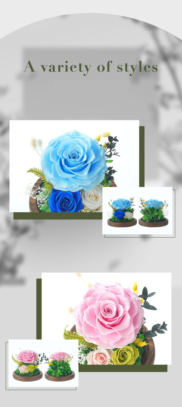 preserved flower supplier
