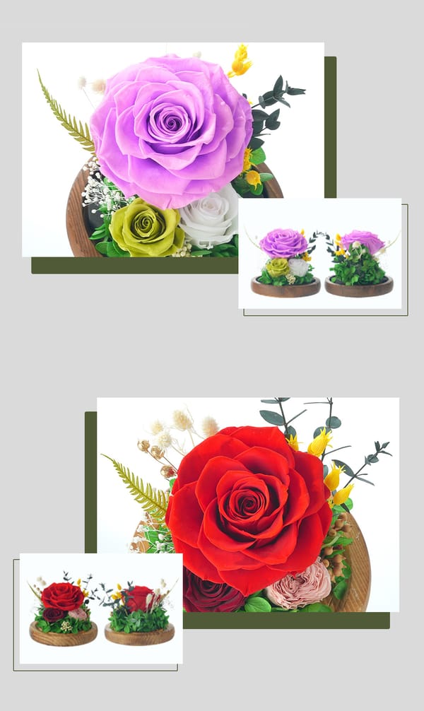 preserved flower wholesale