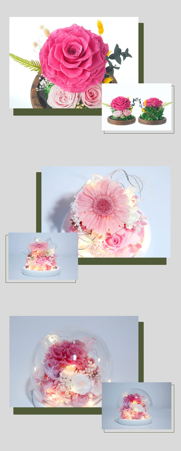 preserved flower low price