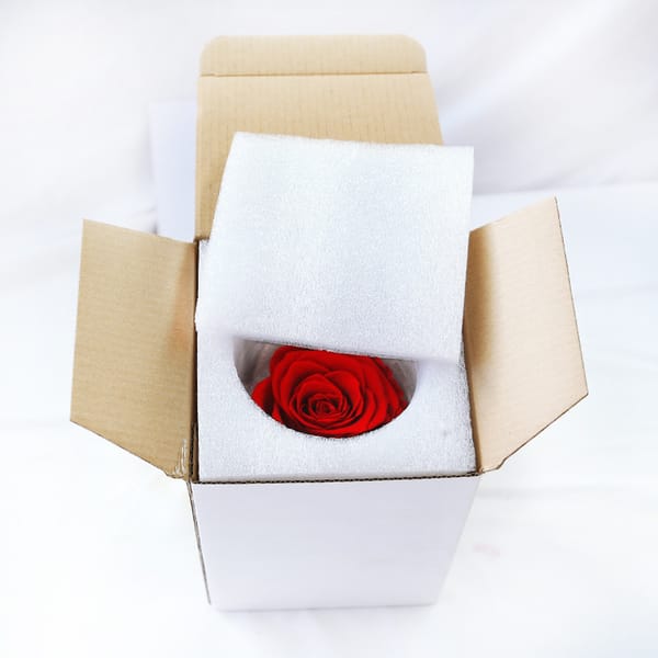 preserved rose package