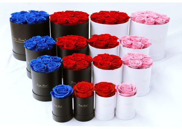 preserved rose multicolor