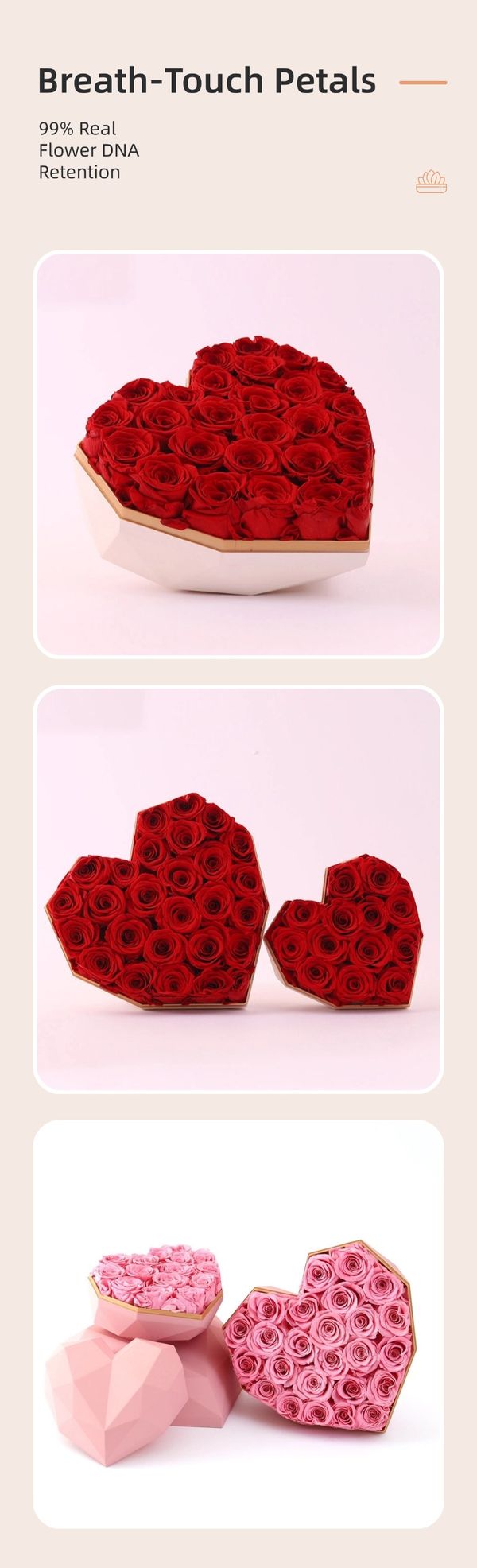 preserved rose gift supplier