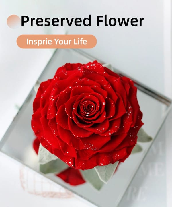 preserved rose gift supplier
