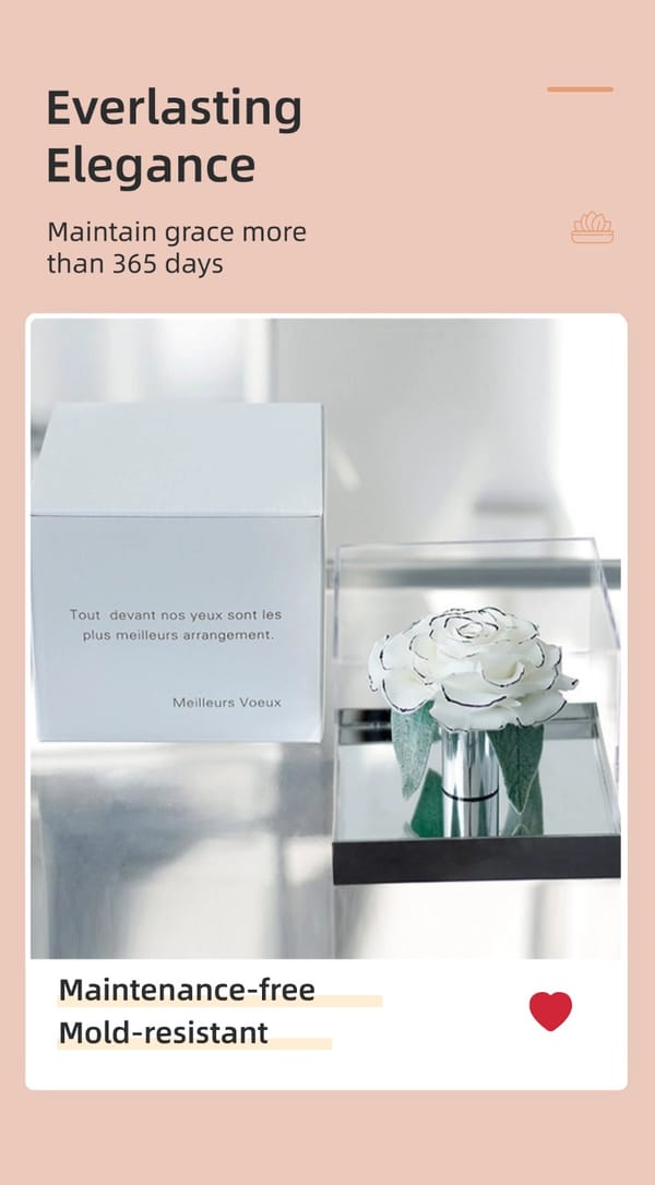 preserved rose wholesale