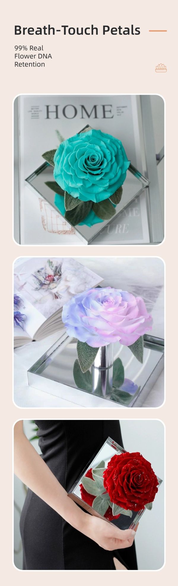 enternal rose wholesale