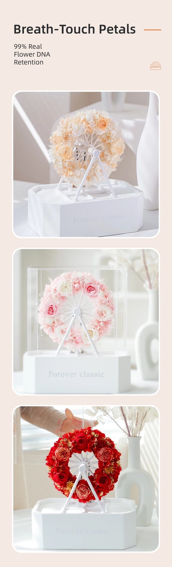 preserved flower Low MOQ