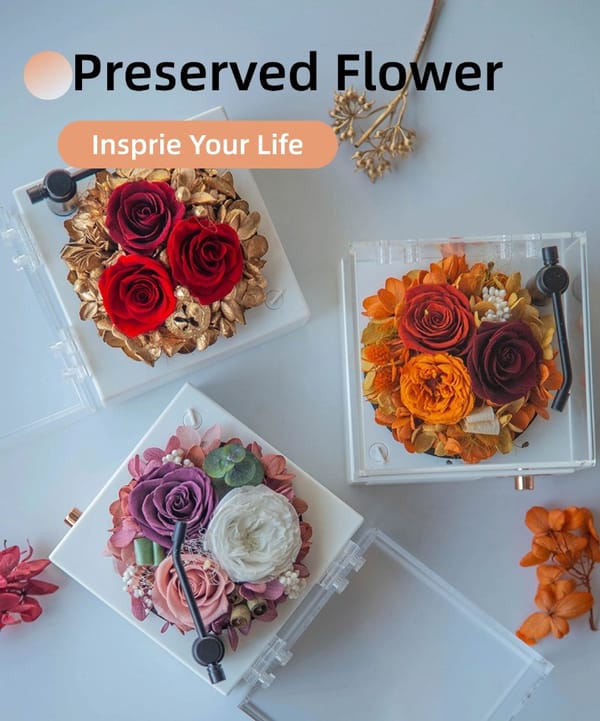 preserved flower gift supplier