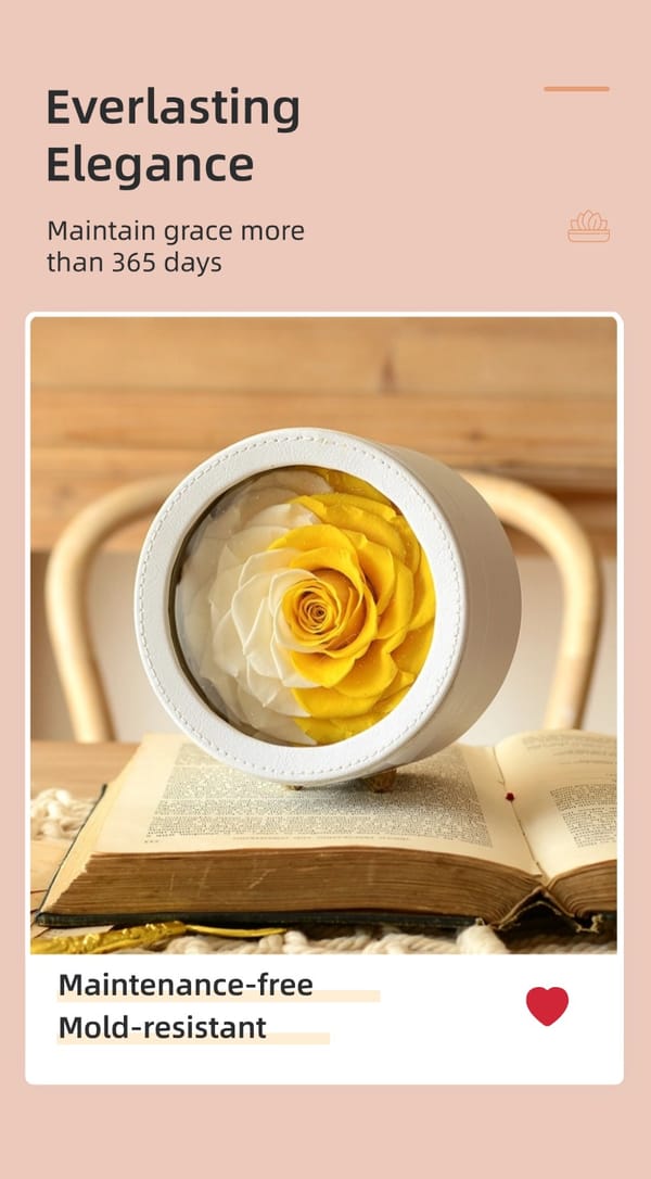 preserved rose gift distributor