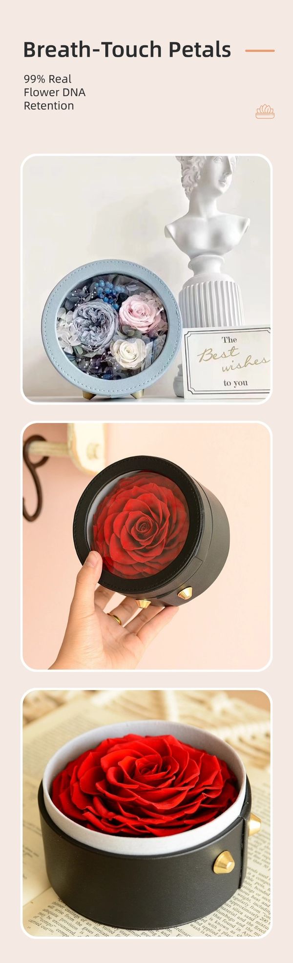 preserved flower gift customization