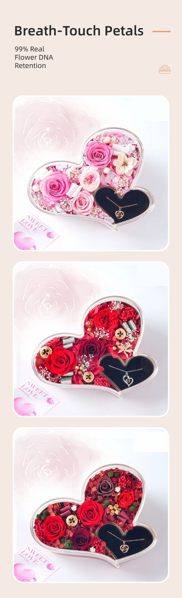 preserved flower gift distributor