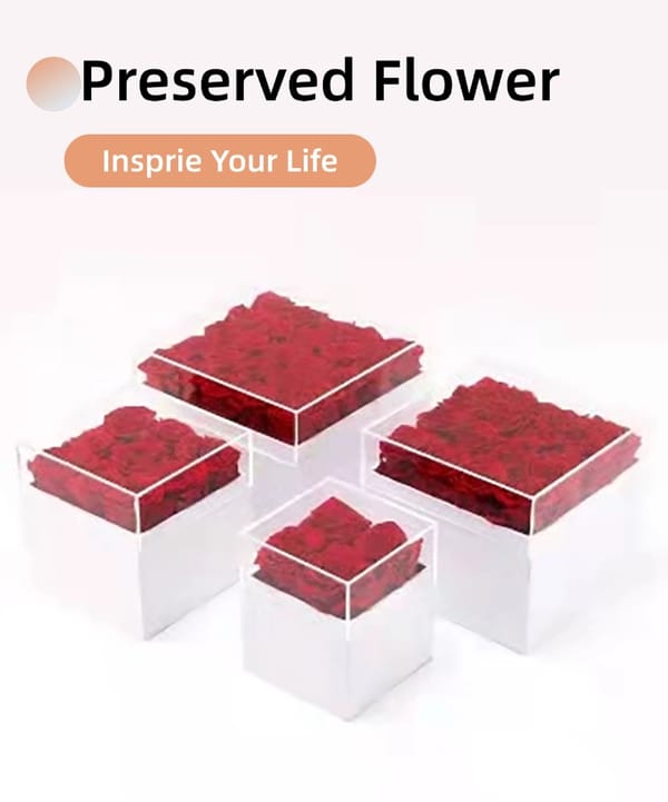 preserved rose gift supplier