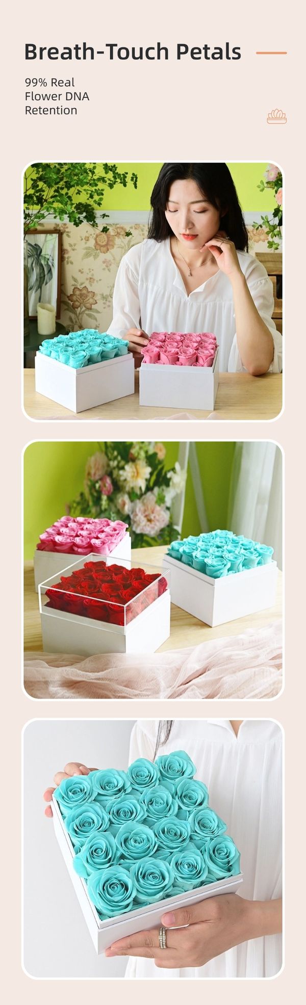 preserved rose gift distributor