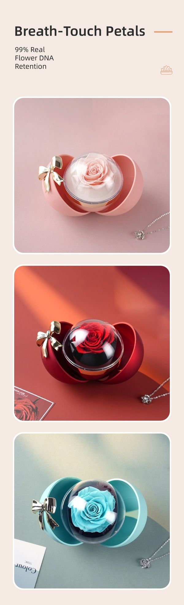 preserved flower gift distributor