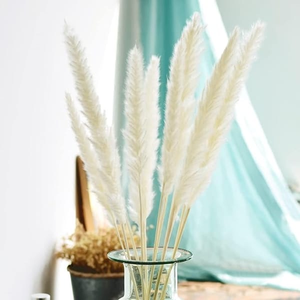 pampas grass bouquet supplier