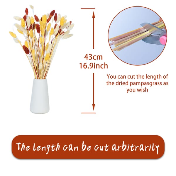 Phalaris Flowers bouquet supplier