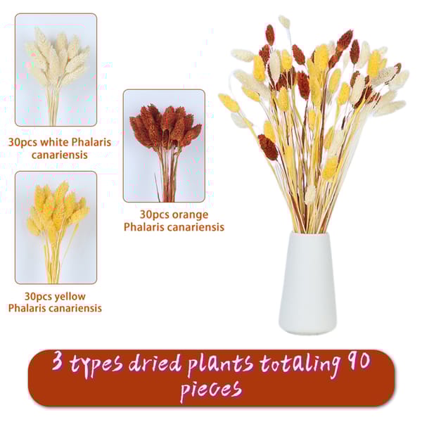 Phalaris Flowers bouquet wholesale