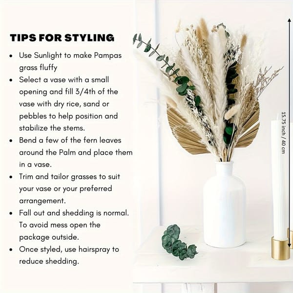 Palm Leaves supplier