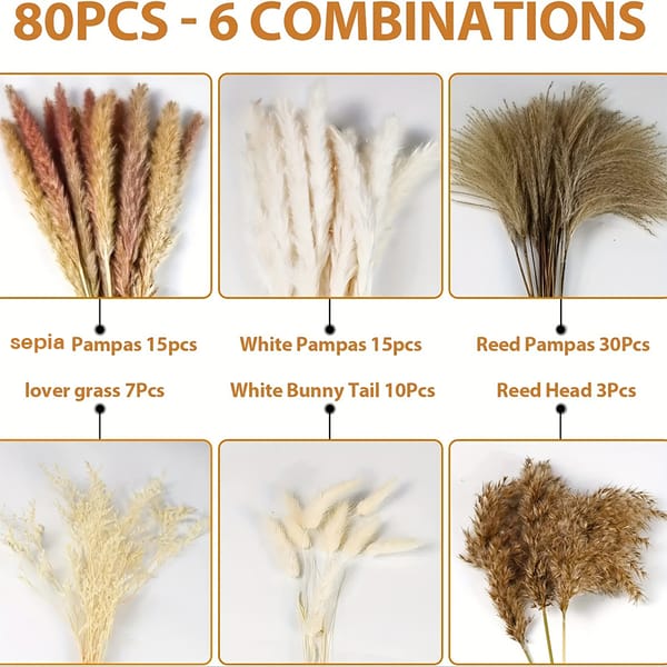 pampas grass bouquet supplier