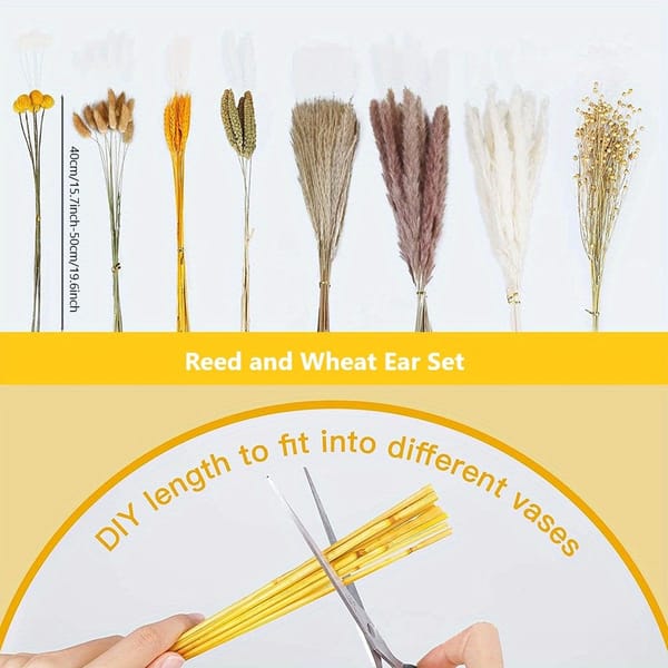 pampas grass bouquet wholesale