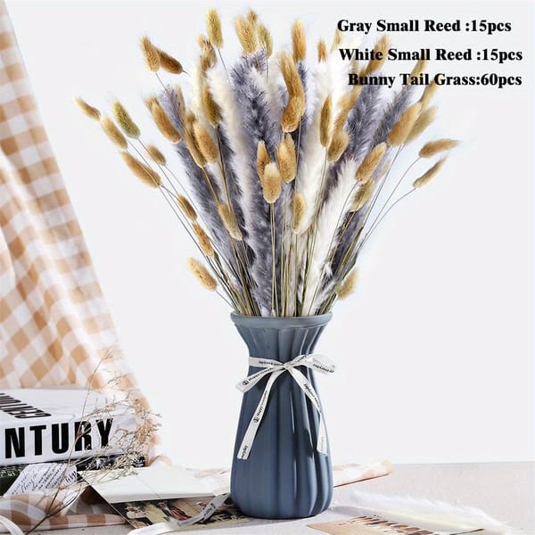 pampas grass supplier