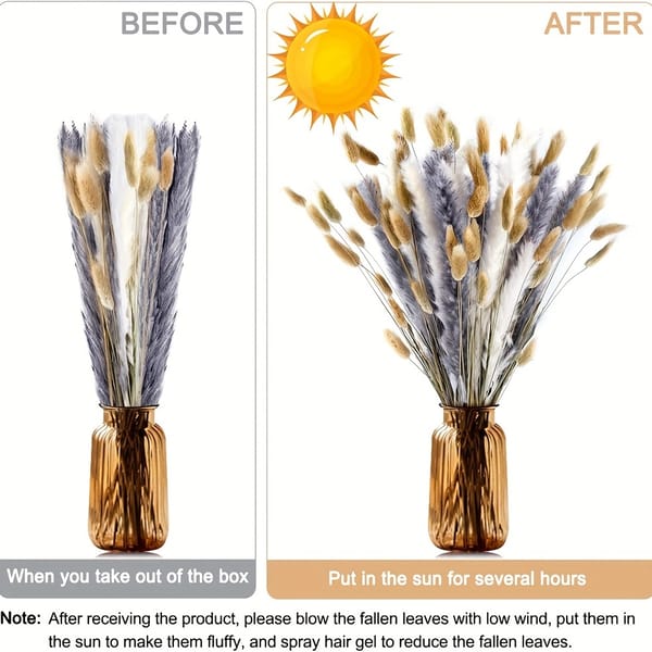 dried flower wholesale