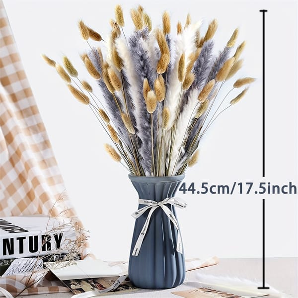 Pampas grass specification