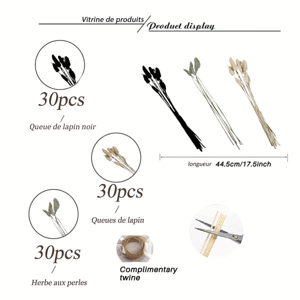 pampas grass bouquet supplier