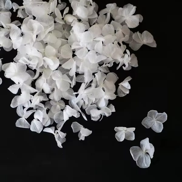 Preserved Hydrangea Petals