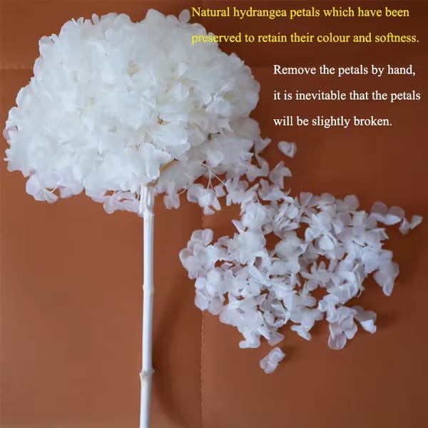Preserved Hydrangea Petals