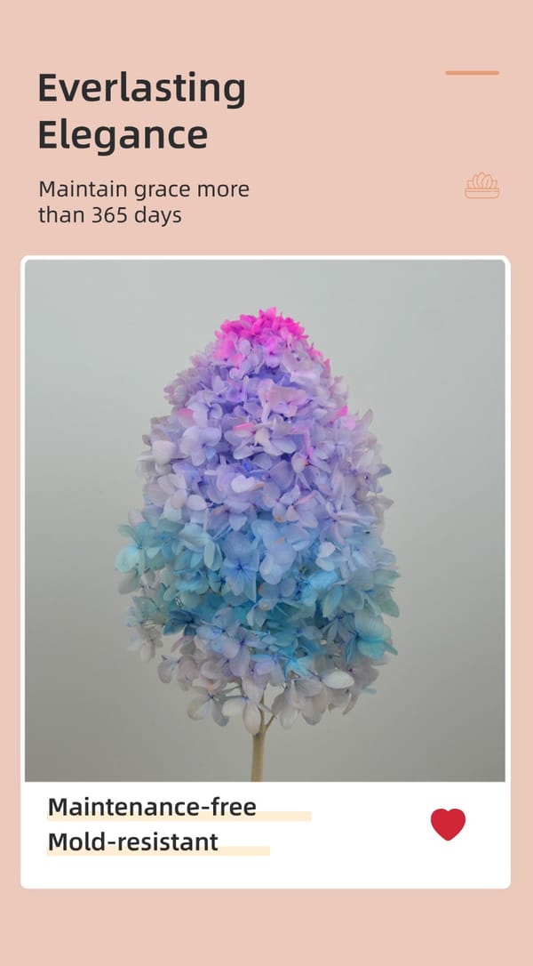 Colorful preserved panicle hydrangea flowers in multiple vibrant colors for wedding, home décor, and event arrangements