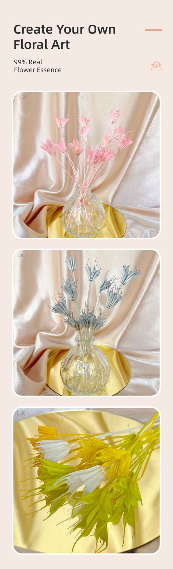 Preserved Nigella Orientalis