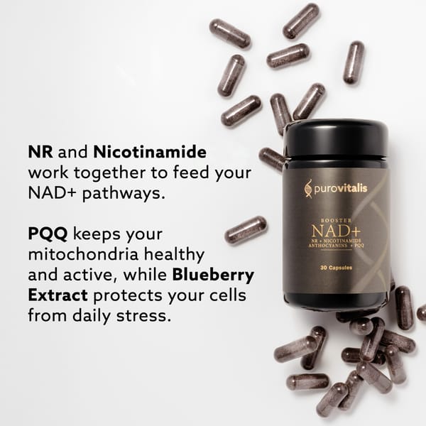 NAD+ supplement: Supports the body’s natural production of NAD+, essential for energy metabolism.¹ NAD+ supplement: Supports the body’s natural production of NAD+, essential for energy metabolism.¹