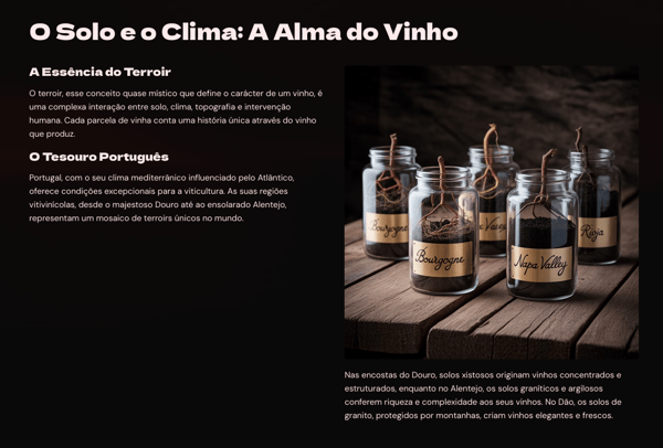 O Mundo do Vinho: Da Videira à Garrafa - Segredos, História e Técnicas dos Vinhos Premium