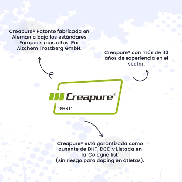Creatina Excell 100% Pura HSN - em pó sem sabor 300 g | 100% monohidrato de creatina microfibra, não inclui doseador, sem adição e livre de poluentes, não-OGM Vegan, sem glúten Creatina Excell 100% Pura HSN - em pó sem sabor 300 g | 100% monohidrato de creatina microfibra, não inclui doseador, sem adição e livre de poluentes, não-OGM Vegan, sem glúten